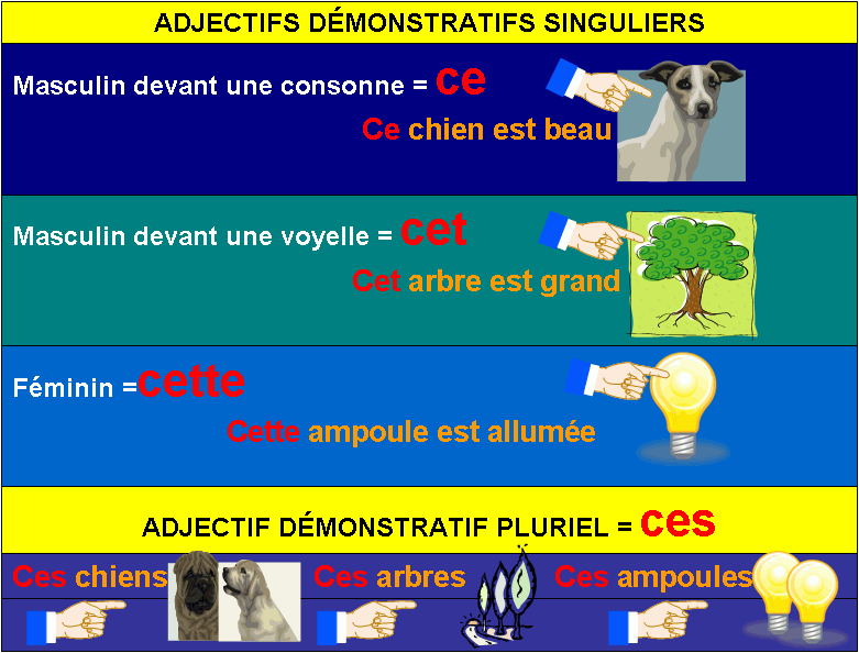 Demonstrative Adjectives French